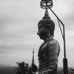 james stewart calculus 8th edition pdf